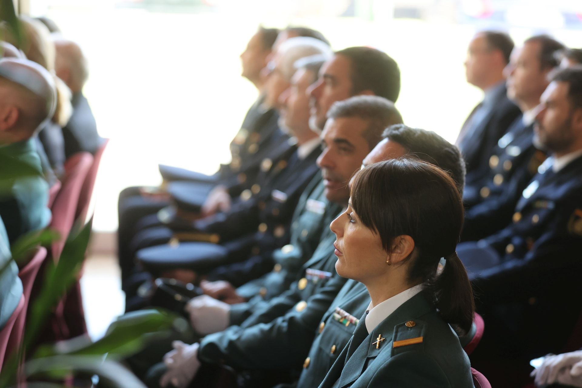 El orgullo de los premiados por el día de la Constitución, en imágenes