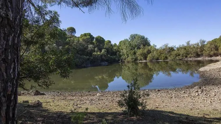 Pantano natural en el interior de la finca a la venta en Córdoba