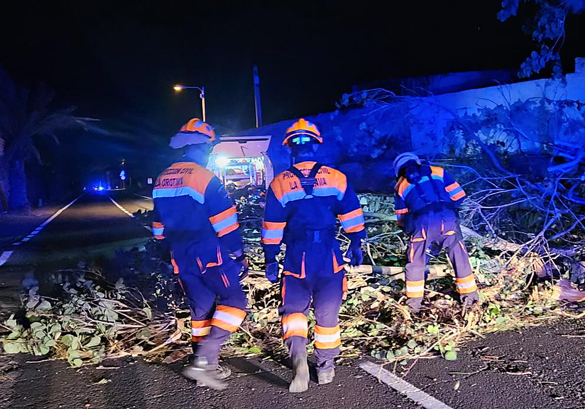 Durante toda la noche, los servicios de emergencias han  atendido incidencias relacionadas con el viento.