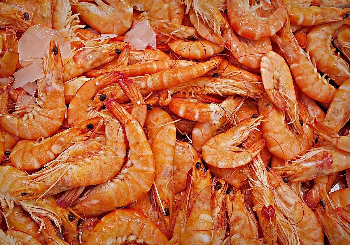 Descubre aquí los trucos para congelar gambas, langostinos, gambones, cigalas y todo tipo de mariscos
