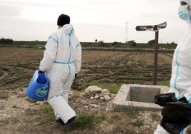 Voluntarios de la Fundación Oceanogràfic retiran más de 500 kilos de basura durante la limpieza de l'Albufera