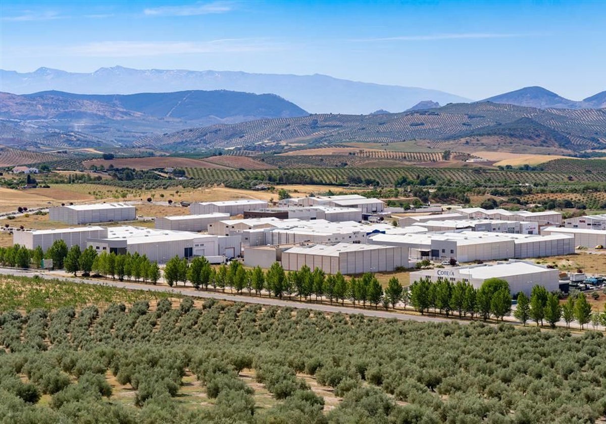 Naves y suelo industrial en Llanos del Mazuelo de Alcalá la Real