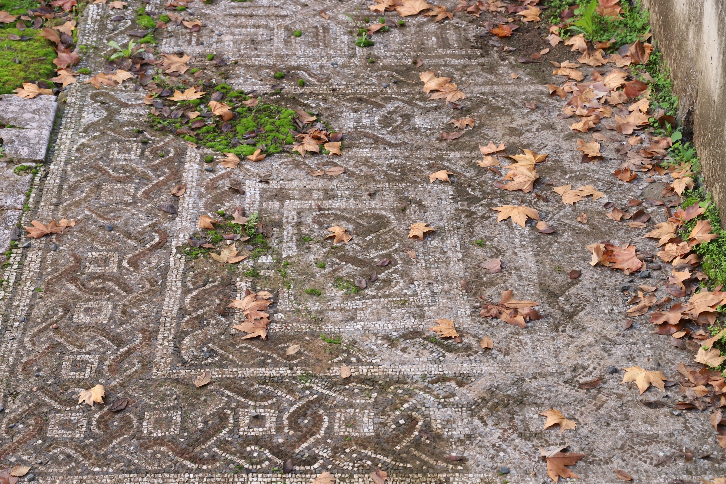 La valiosa villa romana que sale a subasta en Córdoba, en imágenes
