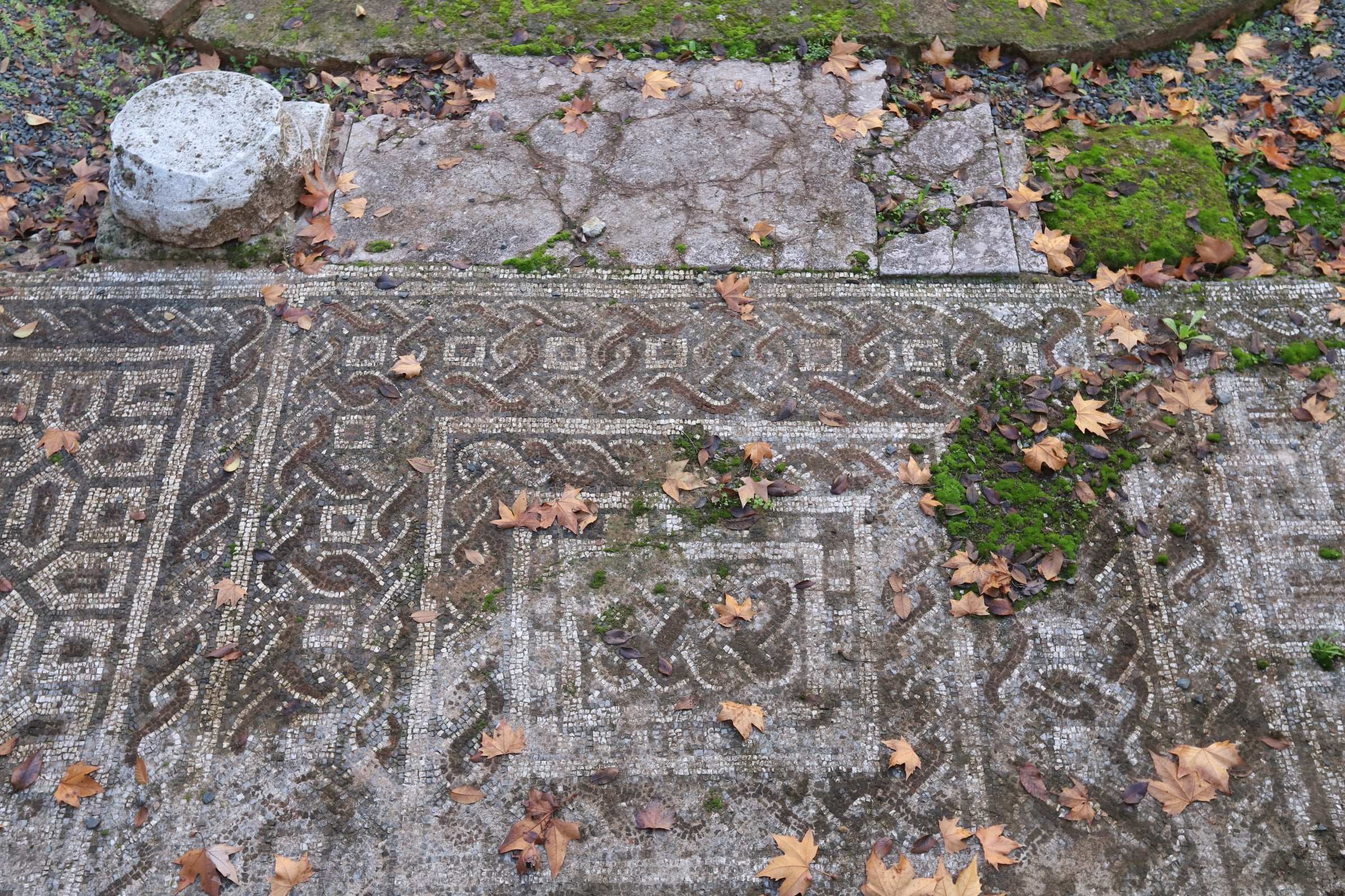 La valiosa villa romana que sale a subasta en Córdoba, en imágenes