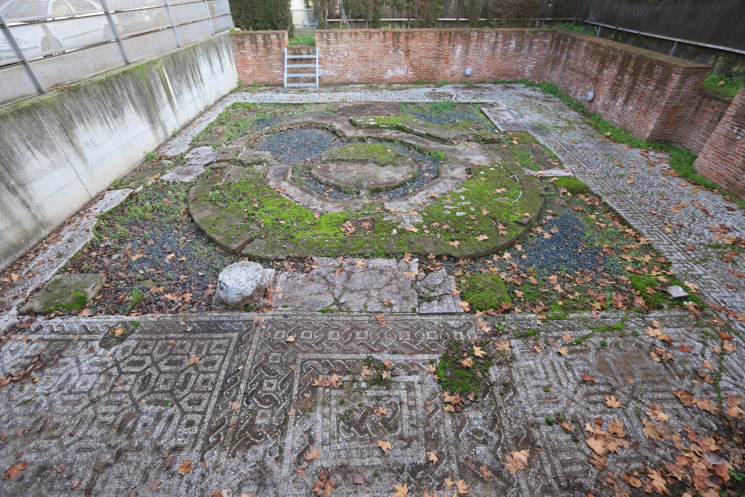 La valiosa villa romana que sale a subasta en Córdoba, en imágenes