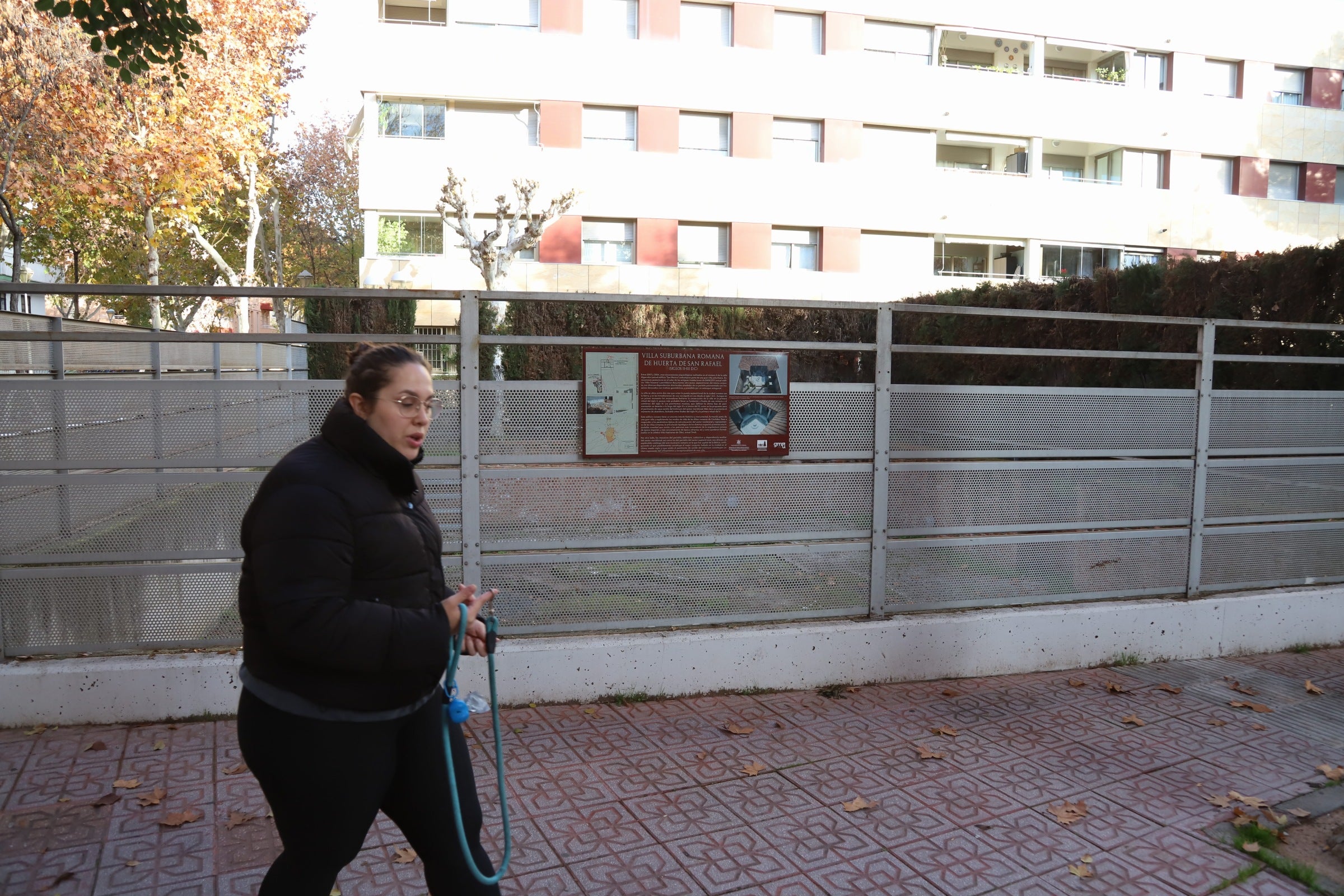 La valiosa villa romana que sale a subasta en Córdoba, en imágenes