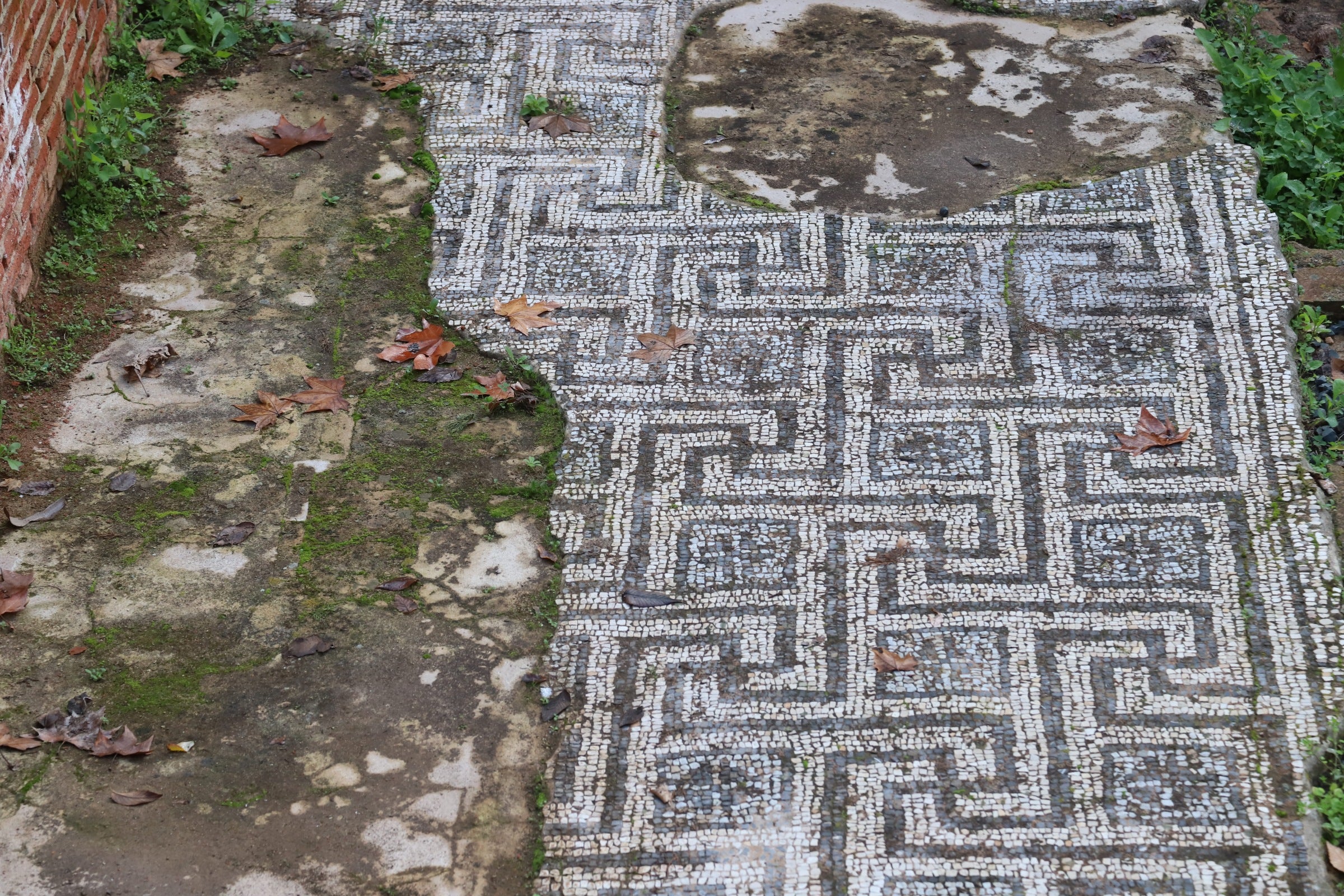 La valiosa villa romana que sale a subasta en Córdoba, en imágenes