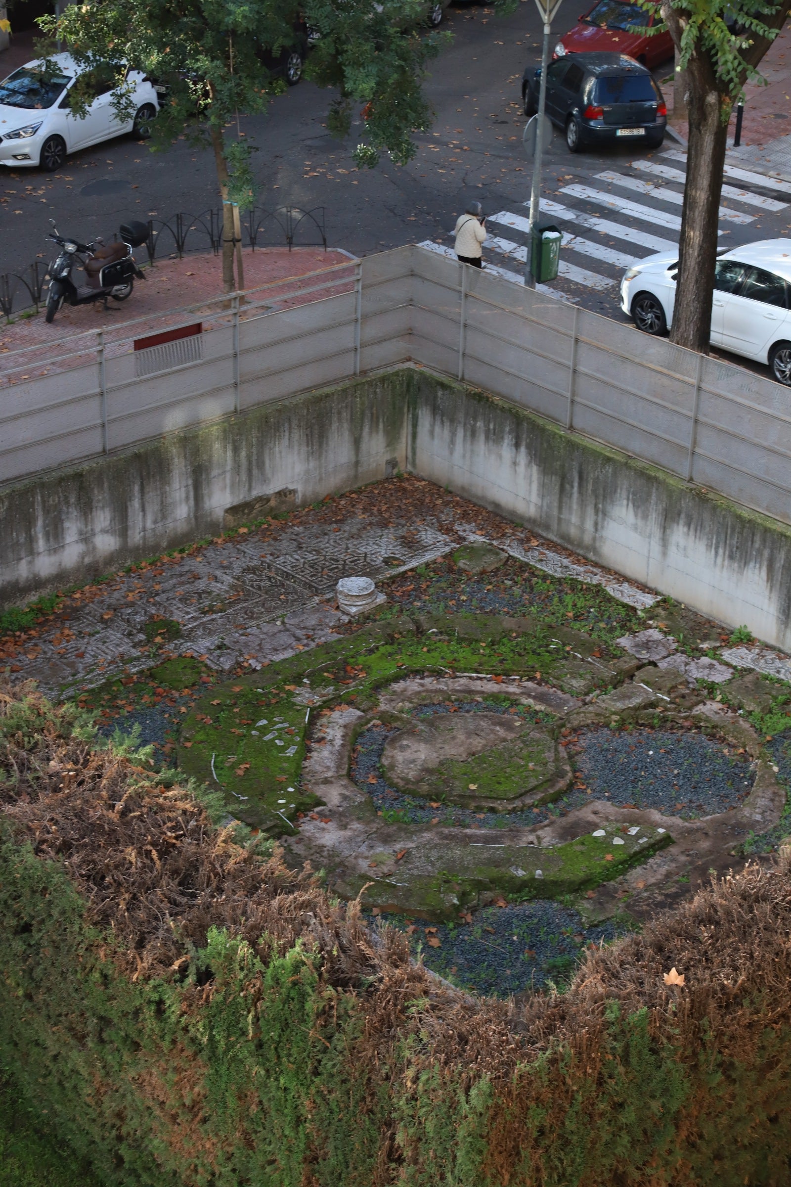 La valiosa villa romana que sale a subasta en Córdoba, en imágenes