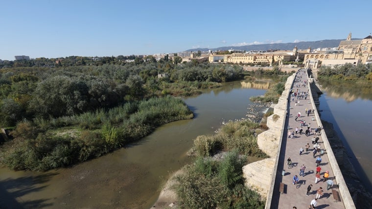 El Ayuntamiento de Córdoba encargará a una empresa la futura limpieza del río Guadalquivir