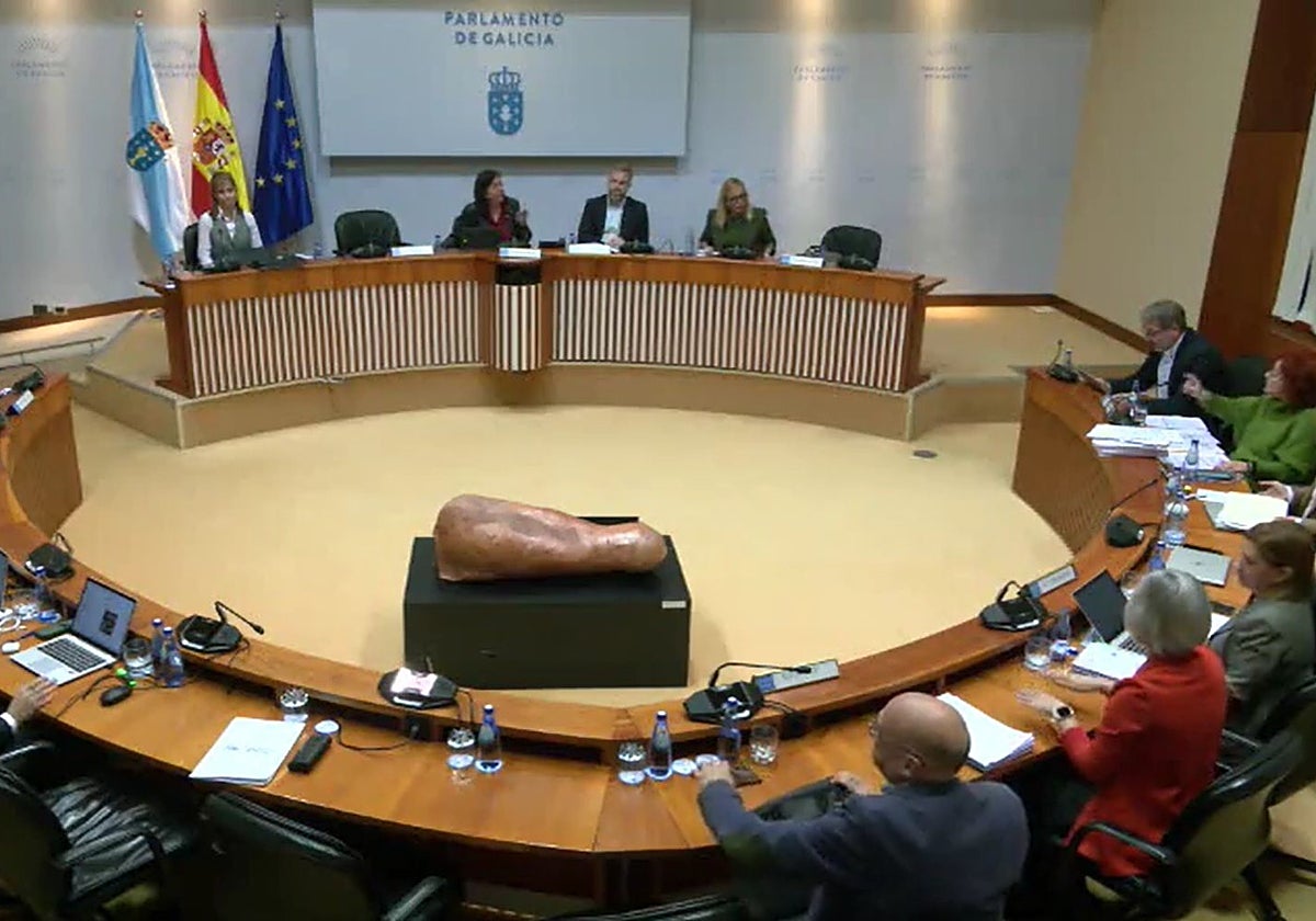 Una de las sesiones de la comisión de investigación (archivo, noviembre)