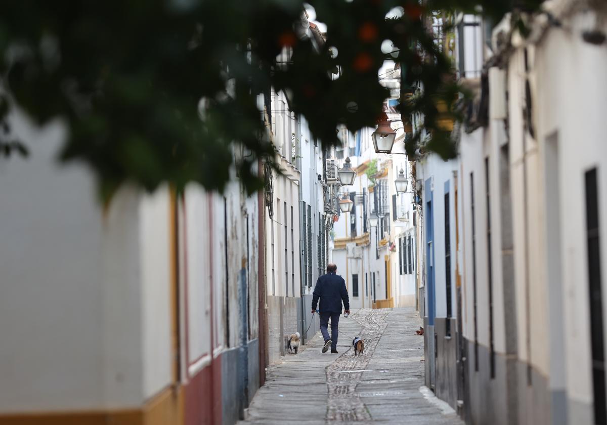 Un hombre pasea con sus perros por una calle del Casco