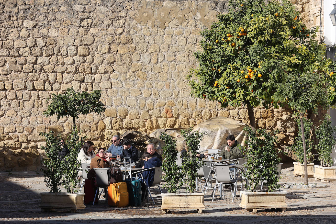 Los barrios de San Basilio y la Catedral, los que más población pierden de Córdoba, en imágenes