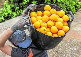 Se buscan trabajadores en Córdoba con sueldos desde 1.300 euros al mes: estas son las vacantes