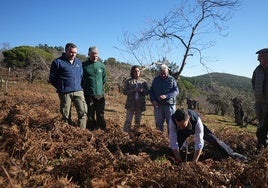 Juanma Moreno pone en valor el castañar de Huelva como pilar económico y fuente de riqueza en Andalucía