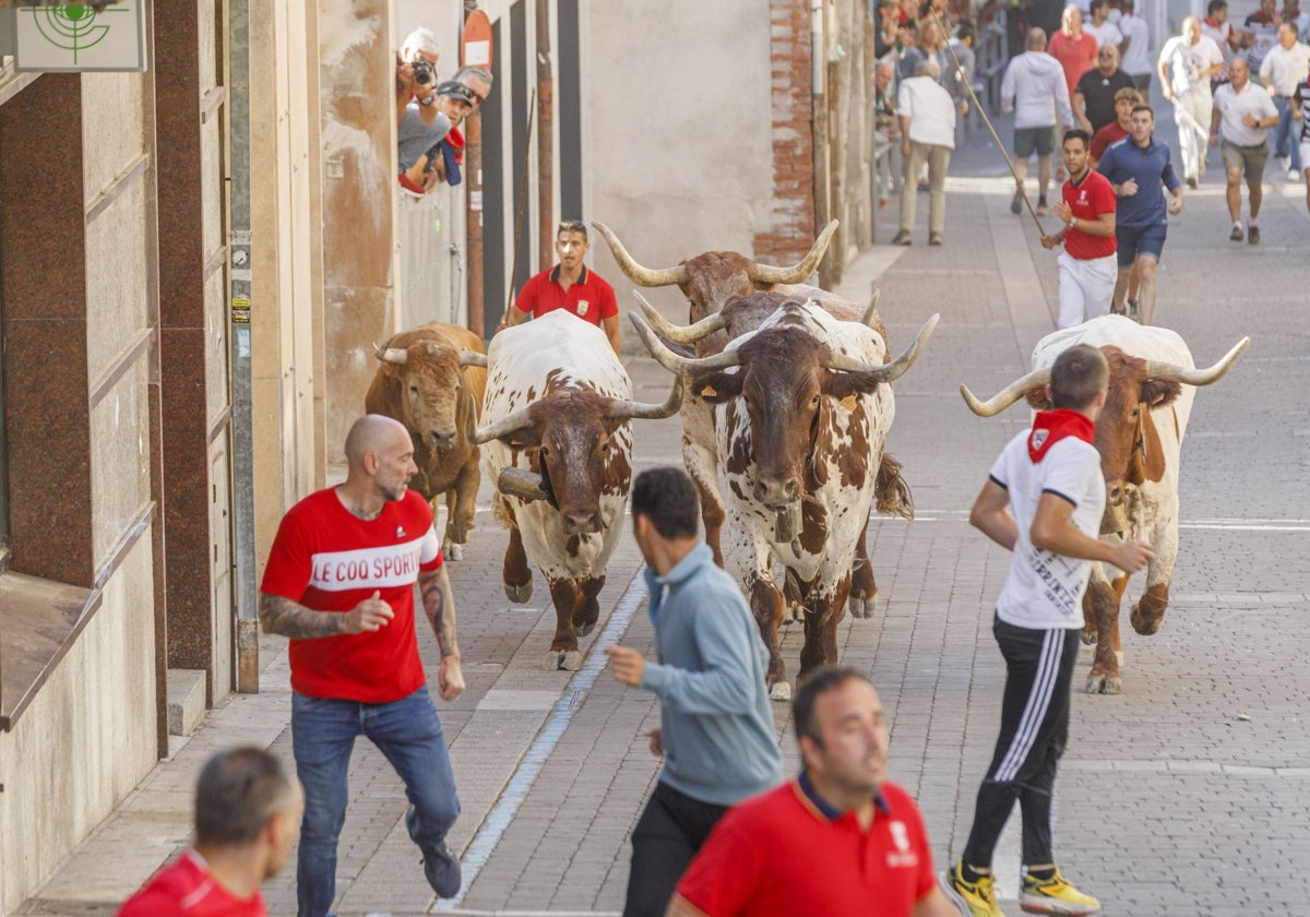 Encierros de Cuéllar, declarados de Interés Turístico Internacional, en una imagen de archivo