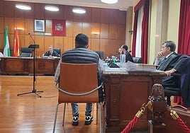 El TSJA ratifica la condena a 17 años de cárcel para un joven que asesinó a otro en un pub de Peal de Becerro