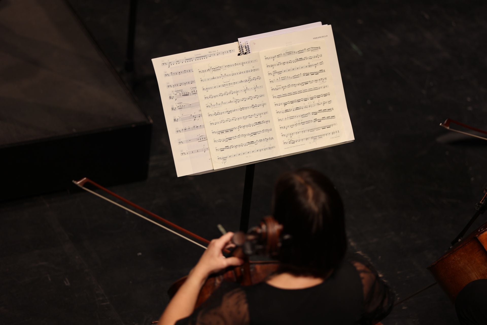 El clásico concierto de Año Nuevo en el Gran Teatro de Córdoba, en imágenes