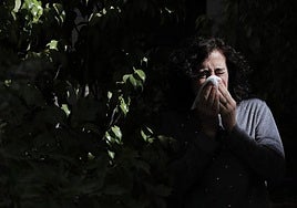 Uno de cada cuatro andaluces tiene alergia, que puede empeorar en invierno