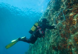 Cuevas marinas de Cabo de Gata, los tesoros naturales que esconde el Mediterráneo en Almería