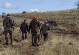 La Federación regional advierte de la «brutal expansión» de la caza mayor frente a la menor