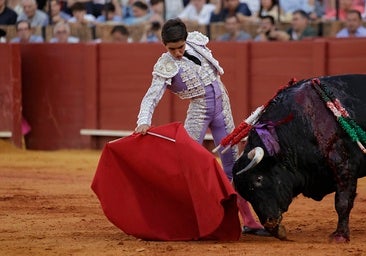 El novillero Manuel Román volverá a los ruedos tras cuatro meses fuera de ellos