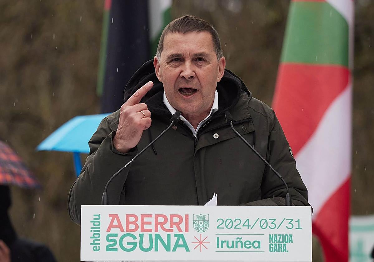Arnaldo Otegi, durante la última campaña autonómica vasca