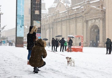 Cuatro años de la borrasca Filomena que también cubrió Zaragoza