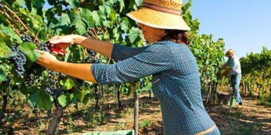 Asaja viajará esta semana a Bruselas para defender el papel de agricultores y ganaderos en el futuro de la UE