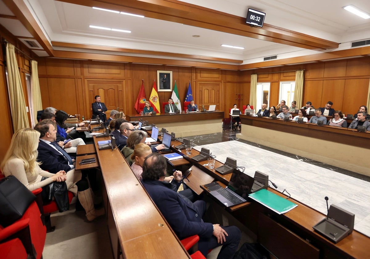Pleno del Ayuntamiento de Córdoba de diciembre