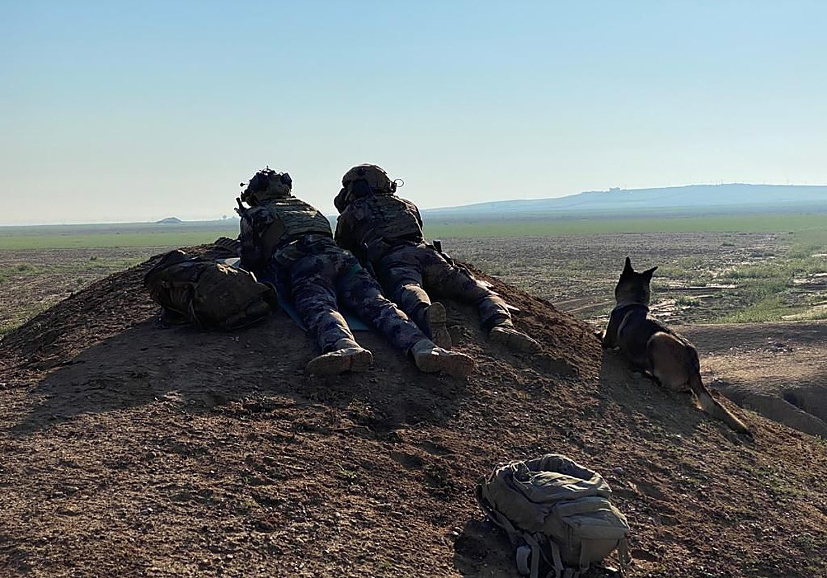 Equipo K-9 de operaciones especiales