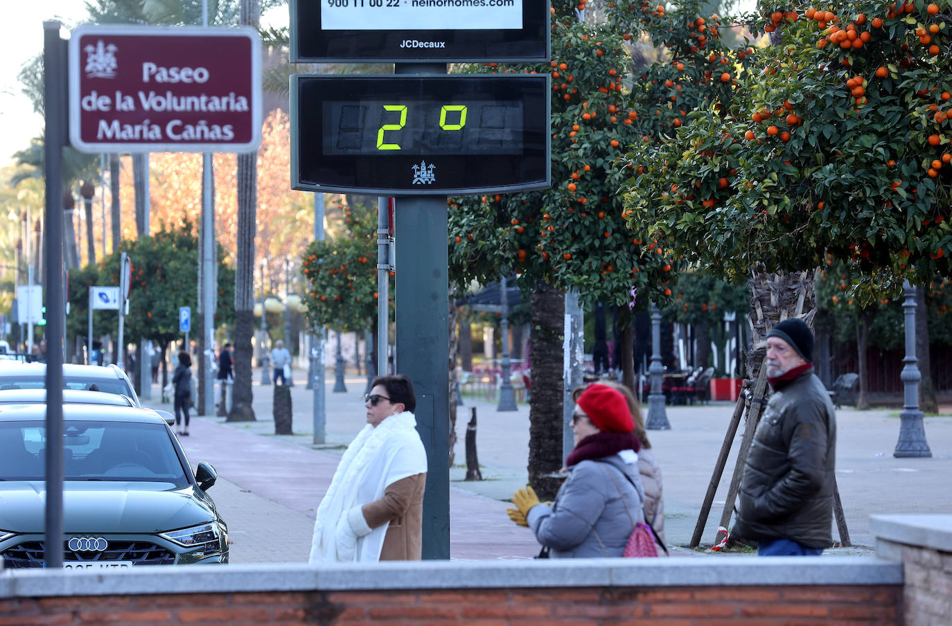El frío extremo se cuela en las calles de Córdoba, en imágenes