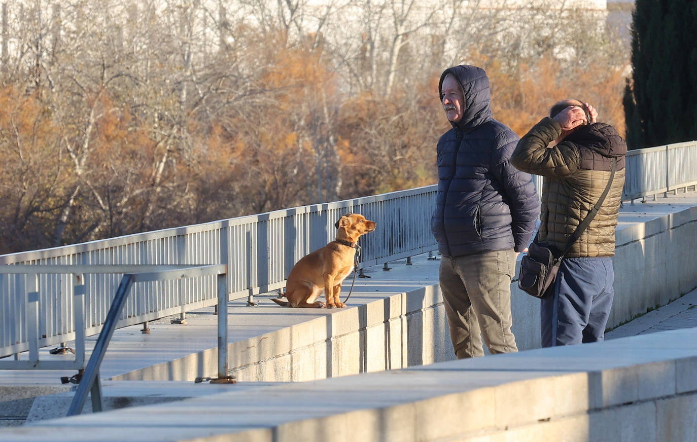 El frío extremo se cuela en las calles de Córdoba, en imágenes