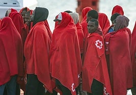 El Gobierno oculta el traslado a Andalucía de 567 falsos migrantes adultos en poco más de un año