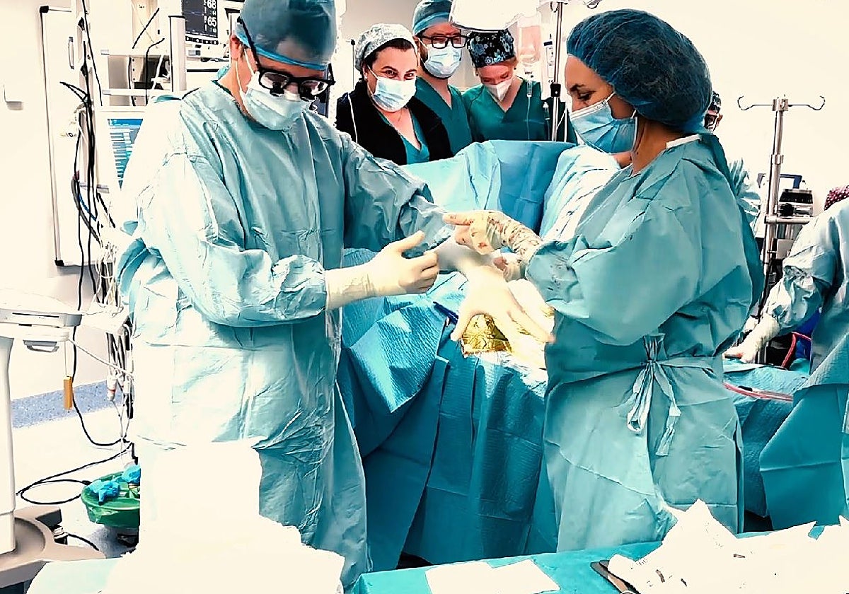 Sanitarios durante un trasplante en Madrid