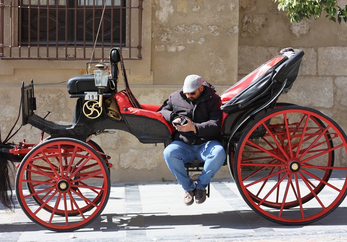 Los coches de caballo dejarán de circular por Málaga en 2025