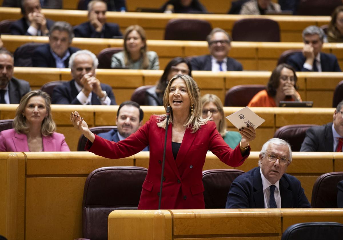 La portavoz del PP en el Senado, Alicia García