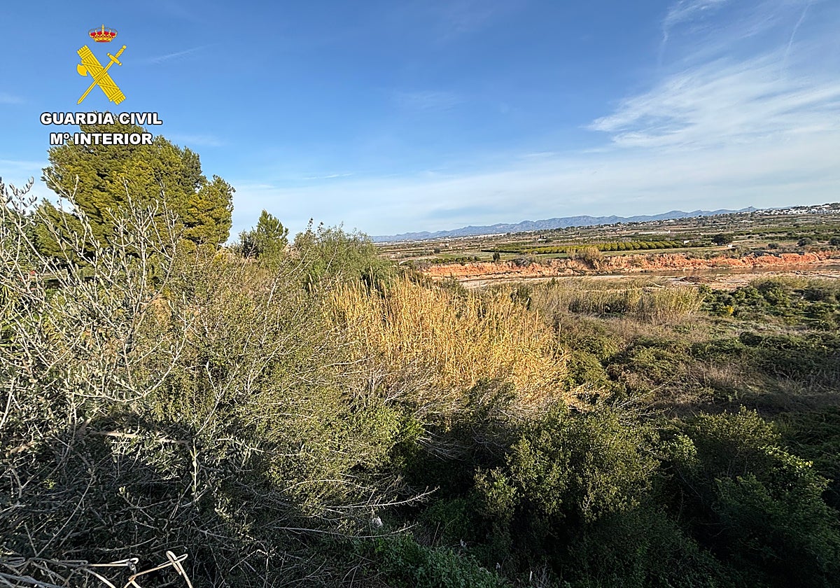 Imagen del lugar donde un hombre cayó en un agujero oculto por la vegetación en Valencia