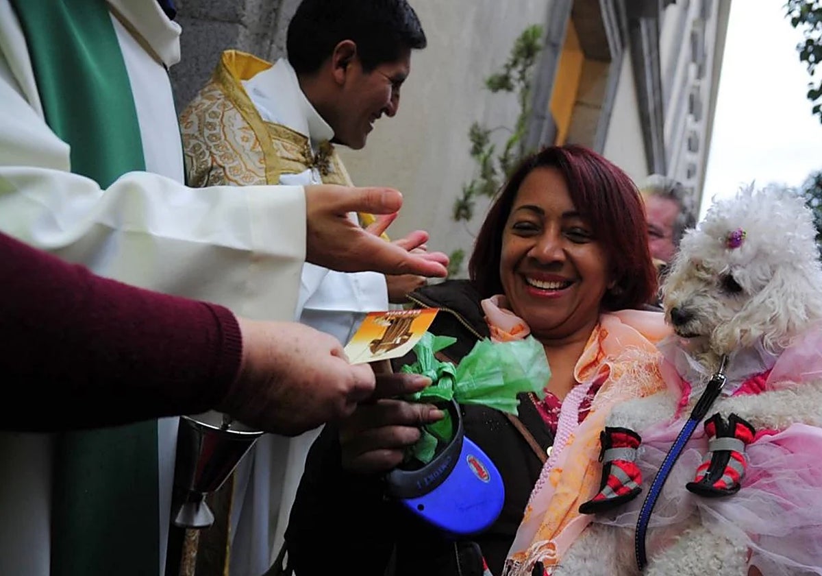 Bendición de mascotas en la Iglesia de San Antón