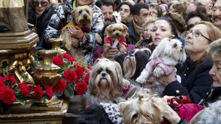 Diez planes en Madrid este fin de semana: desde una sesión de yoga con DJ a las mejores exposiciones de arte