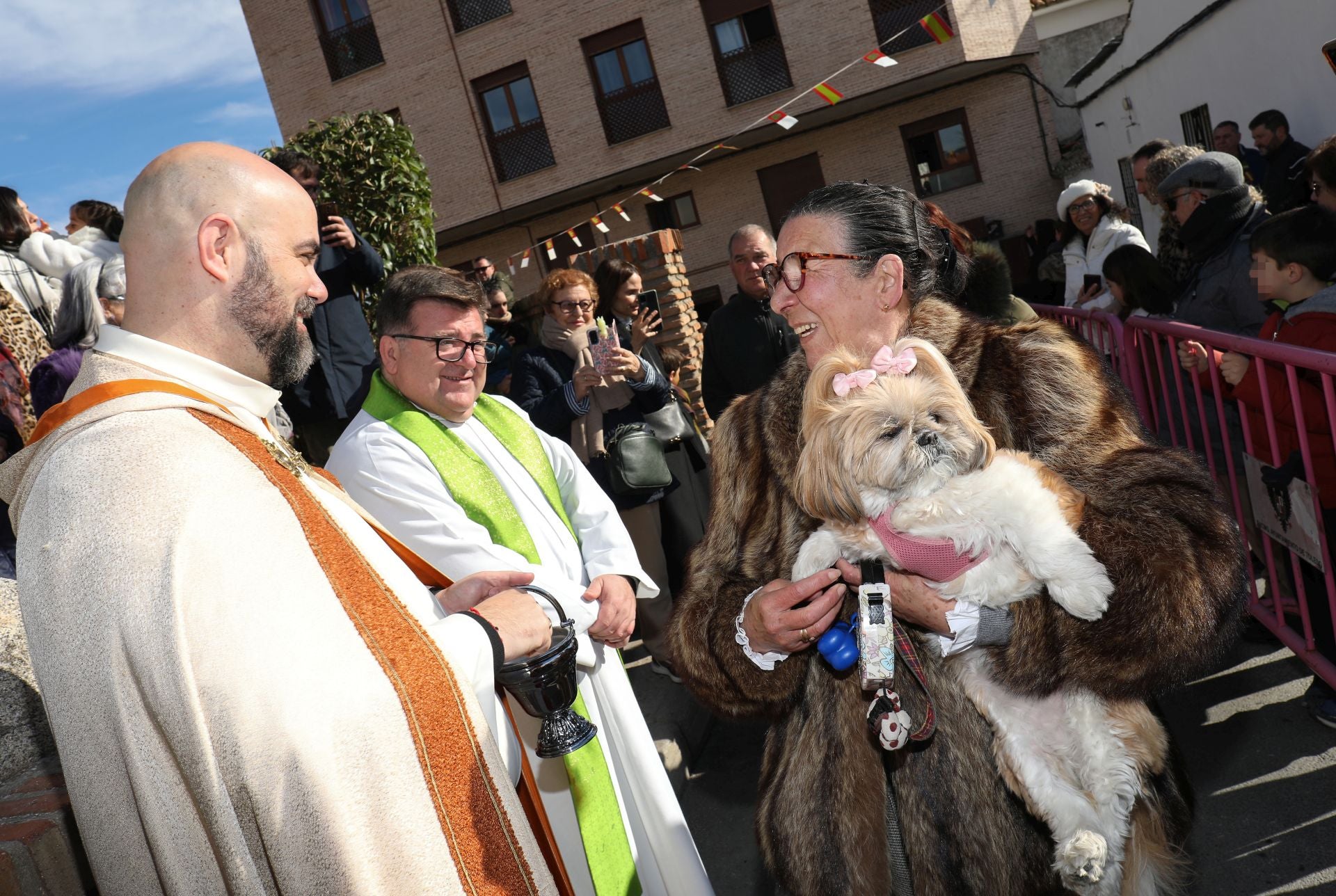Toledo bendice a sus animales