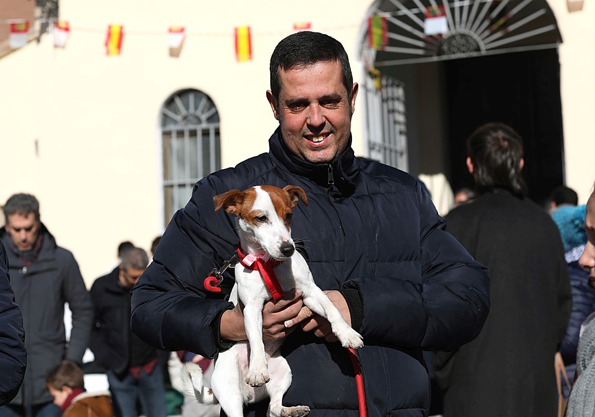 Toledo bendice a sus animales