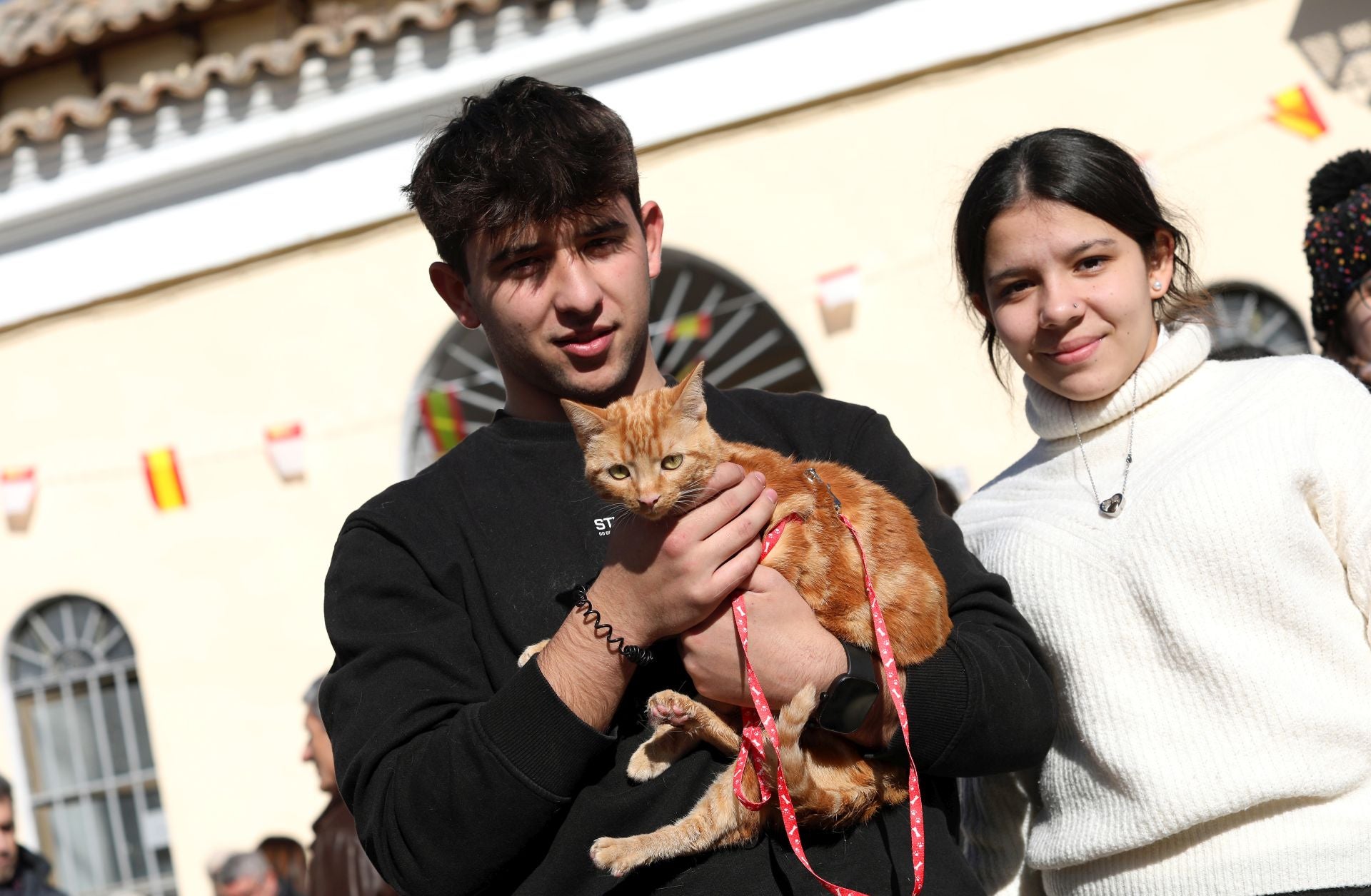 Toledo bendice a sus animales