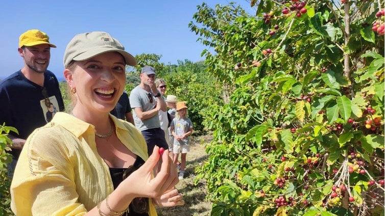 La audacia tiene recompensa: el primer cafetal de Europa está en Granada