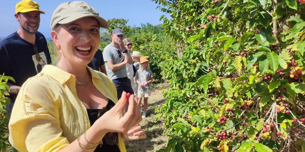 La audacia tiene recompensa: el primer cafetal de Europa está en Granada