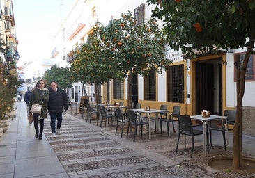 Salud detecta altos niveles de una bacteria en los montaditos de pringá como origen de la intoxicación de Córdoba