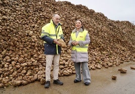 Crece un 30% la superficie destinada al cultivo de la remolacha en Castilla y León