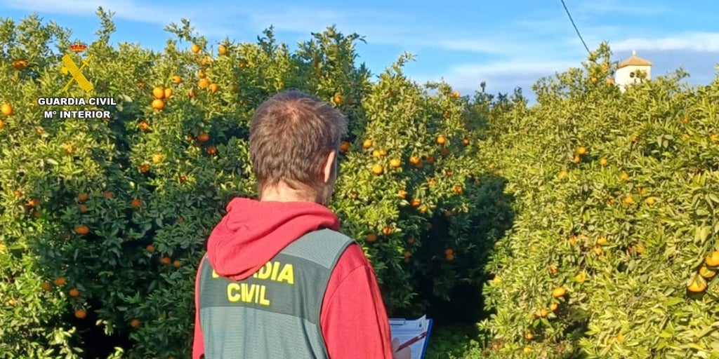 Realizan una inspección de trabajo  y descubren a un prófugo polaco  en busca y captura desde hace 18 años