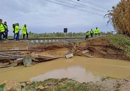 Los efectos de la borrasca Garoé dejan sin servicio la línea ferroviaria Huelva-Sevilla durante los próximos días