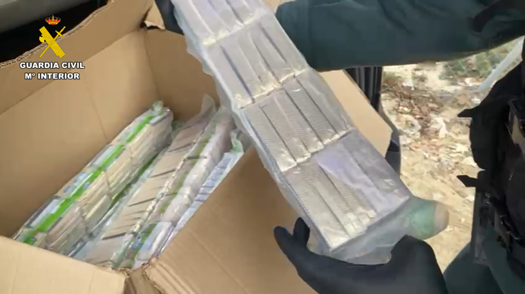 Rayo, el perro antidroga de la Guardia Civil que ha propiciado la detención de un hombre con 35 kilos de hachís en Albacete