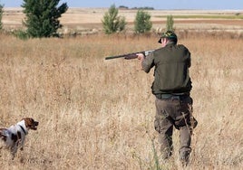 Muere un hombre de 50 años por heridas de arma de fuego mientras cazaba zorzales en un pueblo de Ciudad Real